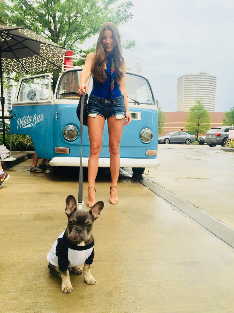 Best Designer Dog Products & Accessories on Liberato Stile