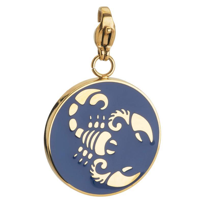 Scorpio Zodiac Sign Medallion Necklace