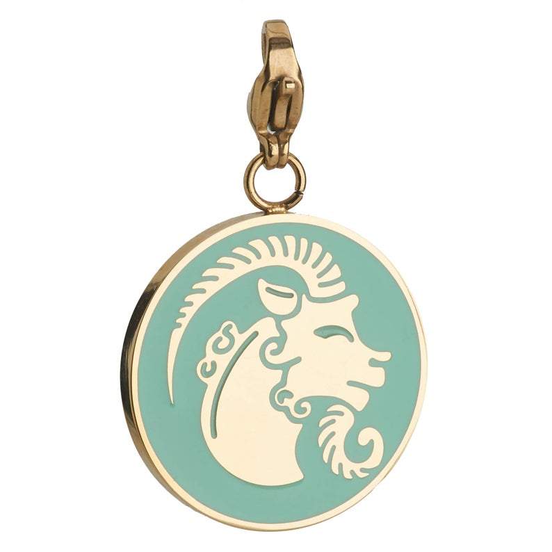 Capricorn Zodiac Sign Medallion Necklace
