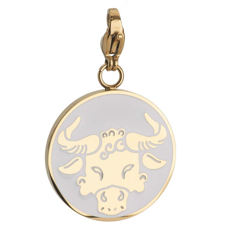 Taurus Zodiac Sign Medallion Necklace
