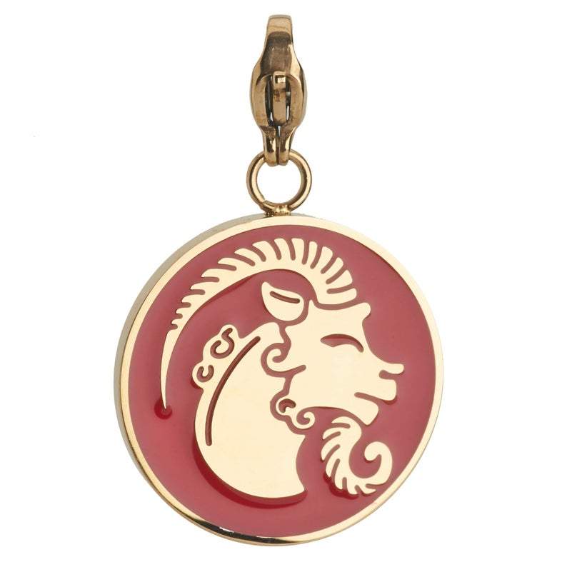 Capricorn Zodiac Sign Medallion Necklace