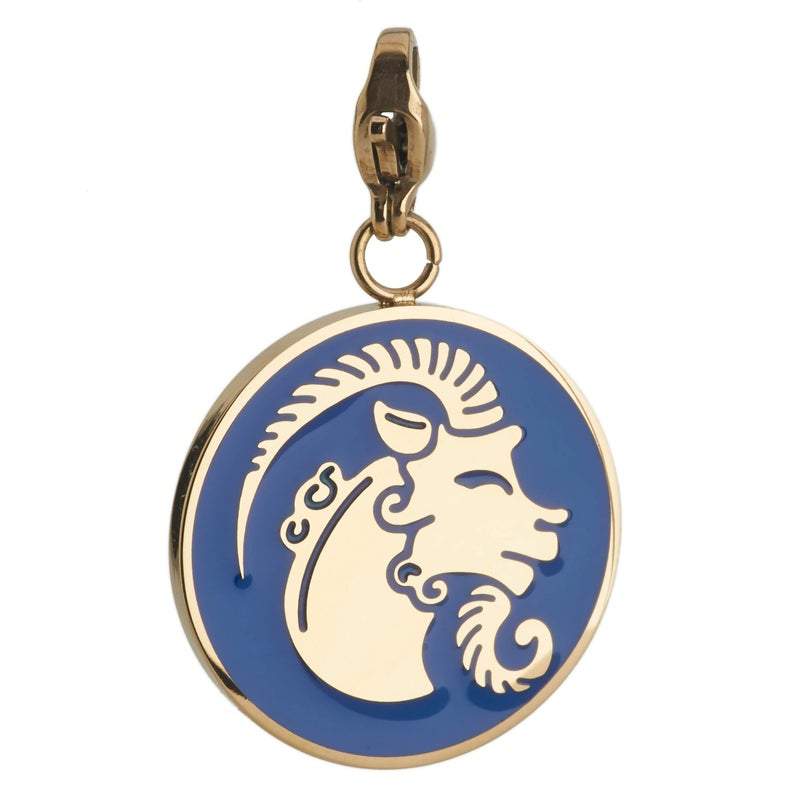 Capricorn Zodiac Sign Medallion Necklace