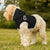 COCO Pet Hoodie