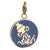 Aquarius Zodiac Medallion