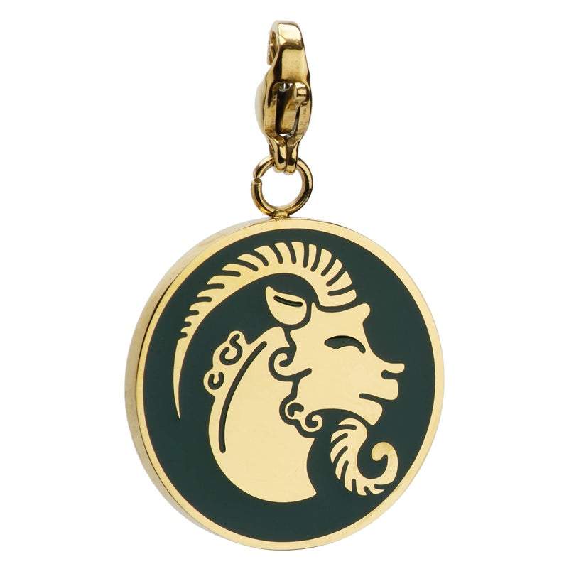 Capricorn Zodiac Sign Medallion Necklace